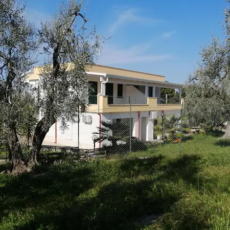 Apartmán Elisa Vieste